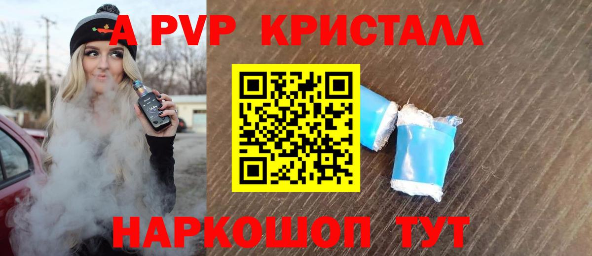 A PVP СК КРИС Архангельск