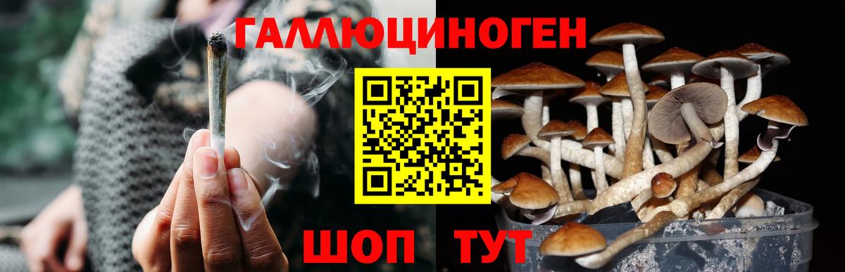 Архангельск  Галлюциногенные грибы Cubensis  Вход с VPN  Псилоцибиновые грибы мухоморы 